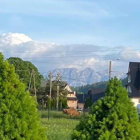 Ratuapartament